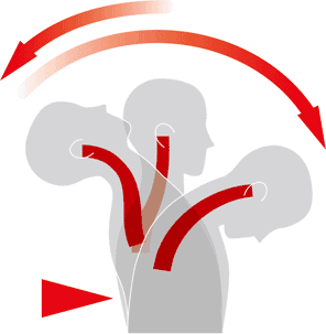 Diagram showing the side view of a head moving quickly forward and backward, illustrating the whiplash motion of the neck.